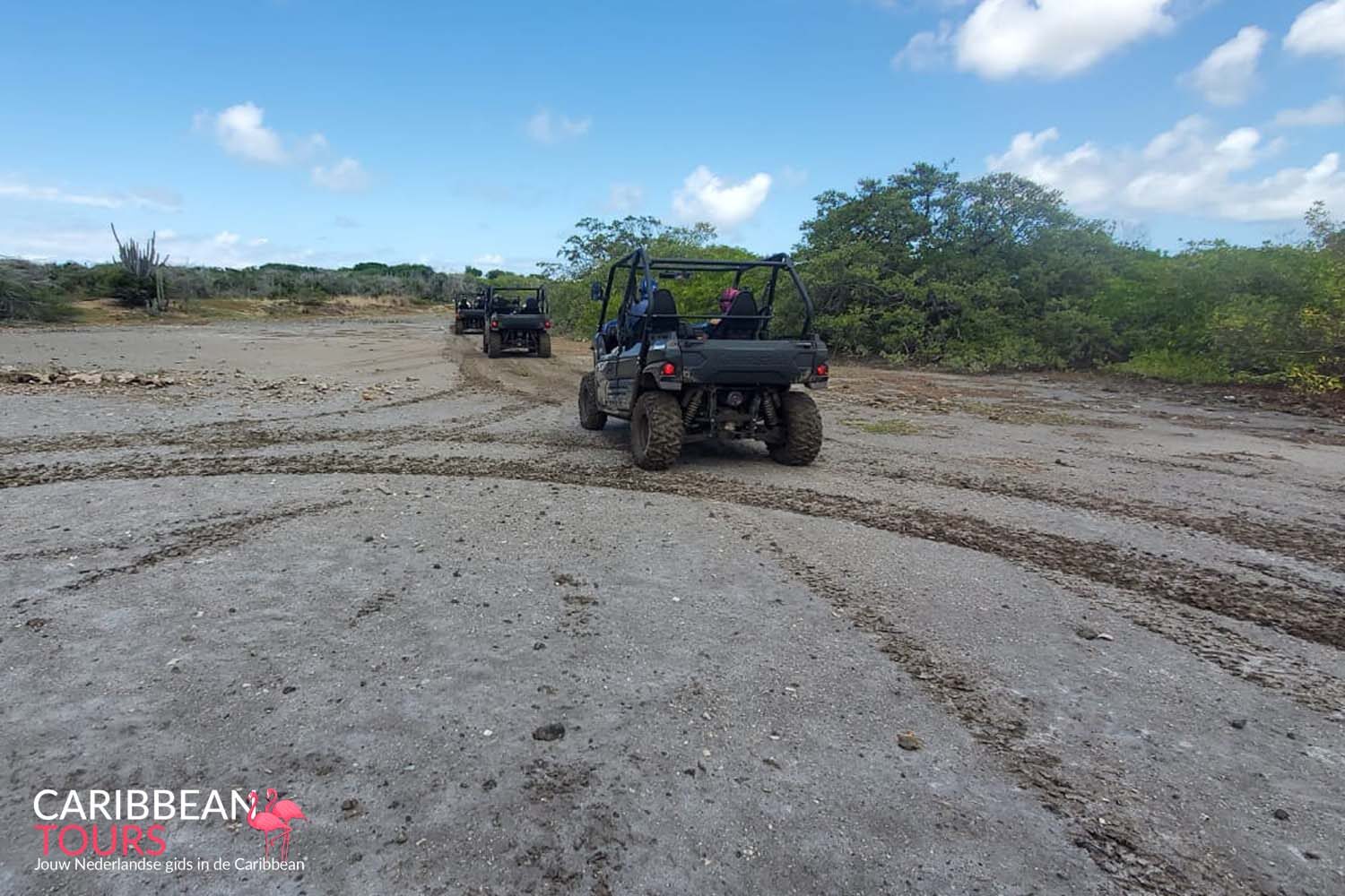 Offroad Buggy Tour