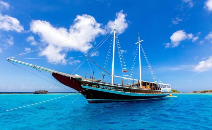 Luxe Lagune Cruise