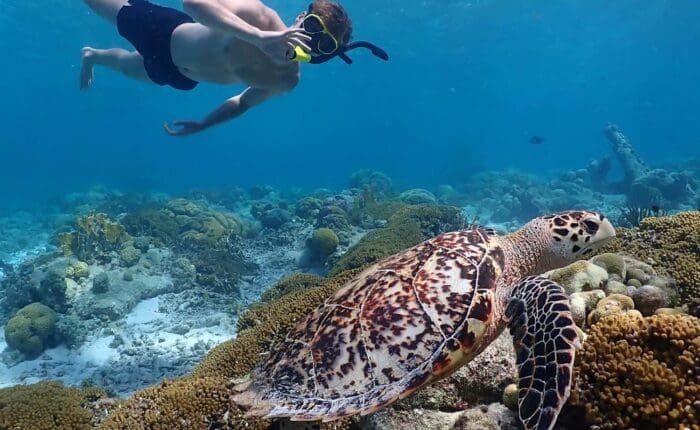 Snorkeltour Marine Park